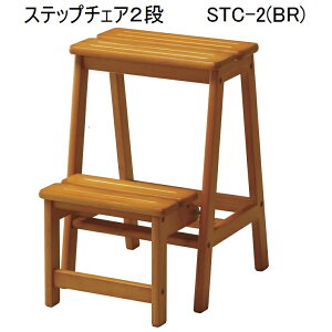 Xebv`FAyOvz@STC-2 (BR)@W380×D475×H550mm i