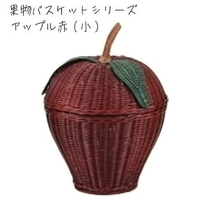 ^oXPbg t^t t[cV[Y Abv S 29×s29×38cm  v[g 蕨