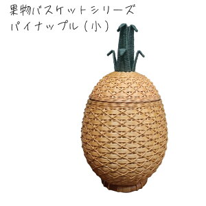 ^oXPbg t^t t[cV[Y Abv pCibv 26×s26×49cm  v[g 蕨