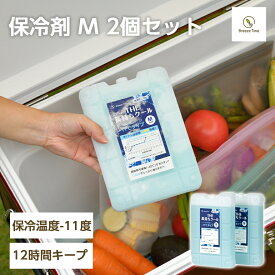 -11℃強力 保冷剤 ハードタイプ M 2個 セット 保冷材 長持ち 長時間 大きい サイズ 保冷 冷凍 保存 氷点下 災害 緊急時 停電 アウトドア キャンプ レジャー ピクニック キャンプ ソロ ファミリー 買い物 お花見 花見