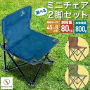 ミニチェア 折りたたみチェア 2脚 セット 花見 レジャー 折りたたみ椅子 アウトドアチェア チェア フェス 椅子 軽量 コンパクト キャンプ レジャー 子ども 海 プール