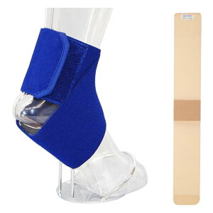 10%OFF | \tEt@[OA MX@x[WE037777  [J[ EwEMtgẼLZEԕis ȉꍇA[ixLZ