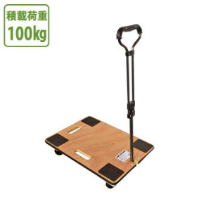 10%OFF tؐ EbhL[ TC-6045HT  [J[ EwEMtgẼLZEԕis [ixLZ