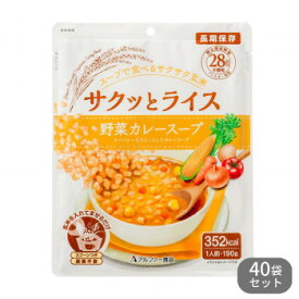 10%OFF 11421638 アルファー食品 サクッとライス 野菜カレースープ 190g ×40袋セット 送料無料 代引き・期日指定・ギフト包装・注文後のキャンセル・返品不可 欠品の場合、納品遅れやキャンセルが発生