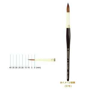 REMBRANDT@ug@ʉM100@sARXL[@Eh(x[|Cg)@T909-100-01(1)  N[| zz [J[ EwEMtgẼL