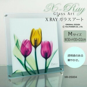 X RAY �K���X �A�[�g �`���[���b�v M�T�C�Y XR-05004 �������� �N�[�|�� �z�z�� ���[�J�[���� ������E�����w��E�M�t�g��E������̃L�����Z���E�ԕi�s�� ���i�̏ꍇ�A�[�i�x���L�����Z��