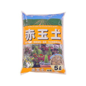 | ԋʓy 嗱 5L 10 1010511  N[| zz [J[ EwEMtgẼLZEԕis ȉꍇA[ixLZ