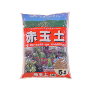 | ԋʓy  5L 10 1010513  N[| zz [J[ EwEMtgẼLZEԕis ȉꍇA[ixLZ