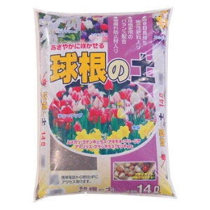 10%OFF | ̓y 14L 4 1391411  [J[ EwEMtgẼLZEԕis ȉꍇA[ixLZ