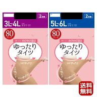 ポイント2倍 大きいサイズ なめらか タイツ 2足組 80デニール 110デニール 送料無料 ネコポス対応 ZTB842…