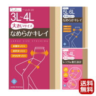 大きいサイズ ストッキング 1足組 3L 4L 5L 6L パンスト なめらか 抗菌防臭 むくみ対策 後ろマチ付き し…