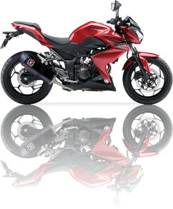 y!!zIXIL(CNV)KAWASAKI Z 250-300 R ´13 SLIP ON XOVS-I[o^Cv XbvIAER250CAEX250LEATCT[A}t[AjW