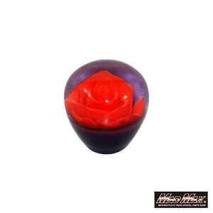 y!!zxTC[Y Vtgmu bh 50mm ϊA_v^[tgbN y yg fRg Vtg`FW g  UD OH Y U vtBA X[p[O[g 