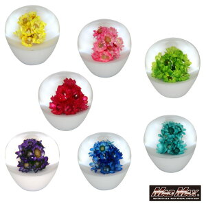 y!!z Vtgmu V[g TYPE1 50mm eF ϊA_v^[tgbN y yg fRg Vtg`FW g  UD OH Y U vtBA X[p[O[g