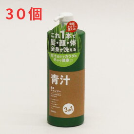 スーパーSALE10％OFF 青汁 全身シャンプー30個 IT-2108-02