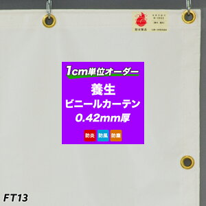 mTCYI[_[n{V[g rj[J[e yFT13zh{V[gu1ށv/[0.42mm]/[541`630cm [Ԏd؂ J[e {V[g h  {J[e rj[V[g ډBV[g 