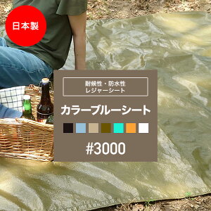 [Si10OFF×15N[|]u[V[g  h J[ zCg h   J[u[V[g  ubN x[W J[L F 2.7×2.7m #3000 hЃObY W[V[g  