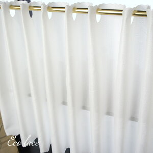 [SiP10{ 1020`4H]O猩ɂ GR[X JtFJ[e O   J[e 140cm×50cm/75cm/100cm /RB238CW/ Lb` h[[ gC ʏ I 