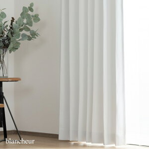 [�S�i10��OFF×15������N�[�|��]�J�[�e�� �Ռ� �� �z���C�g �T�C�Y�I�[�_�[ �m���v���[�c�J�[�e�� �t���b�g�J�[�e�� ��201�`300cm ��201�`260cm �yAB5000�z�u�����V�F�[�� 1�� �Ռ�2�� �h�� �h�� OKC5