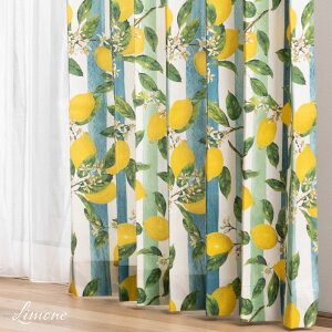 [TCYI[_[]J[e  An 􂦂 ʂ Ռ  100 Rbg XgCv UVJbg { YH838 [l 50`270cm×50`260cm 1 OKC5