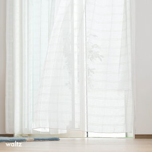 [TCYI[_[][XJ[e  An 􂦂 k YL6000 c 50`300cm×50`260cm 1 OKC5