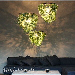 Ɩ Cg CeA  diclasse fBNbZ LED d Mini-Foresti ~jtHXeB y_gv 肳 y_gCg Cg v V V[OCg VƖ X