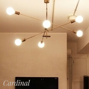 [Si10OFF×15N[|]Ɩ Cg CeA  diclasse fBNbZ LED d Cardinal pendant lamp J[fBi y_gv AeB[NuE 肳 y_g