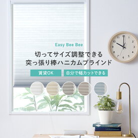 ハニカムブラインド つっぱり棒 突っ張り 突っ張り式 小窓 フリーカット ハニカム スクリーン シェード 寒さ対策 断熱 保温 賃貸OK 節電 スリット窓 簡単 DIY 新築 リフォーム 切ってサイズ調節できる Easy Bee Bee イージービービー C-F-3