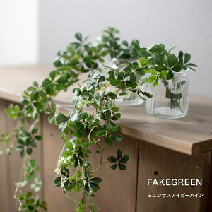 アイビー 観葉植物の人気商品 通販 価格比較 価格 Com