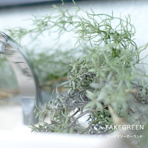 観葉植物 ハンギングの人気商品 通販 価格比較 価格 Com