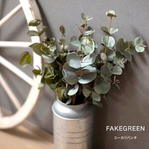 [Si10OFF×5N[|+P10{ 520`4H]tFCNO[ A AtFCNO[ ϗtA lH Ǌ| ~j nMO ݂艺   [Jo` 13{ C-F-1