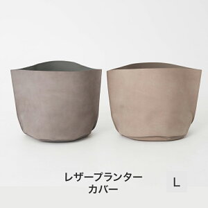 [Si11OFF×11/1N[|]Jo[  v^[Jo[ {v JbRCC O[ x[W U[v^[Jo[L C-F-1