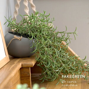 [Si10OFF×5N[|+P10{ 520`4H]tFCNO[ A ϗtA lH Ǌ| ~j nMO ݂艺   z lAX nMO|bg C-F-1