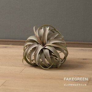 [Si10OFF×5N[|+P10{ 520`4H]tFCNO[ A ϗtA lH Ǌ| ~j nMO ݂艺   sNLZOtBJ C-F-1