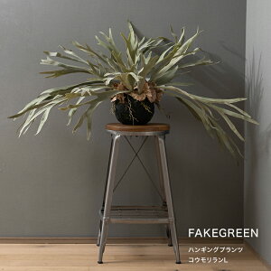 [SiP10{×2020`4Ԍ]tFCNO[ A ϗtA lH nMO ݂艺   rJNV_ nMOvc REL C-F-1