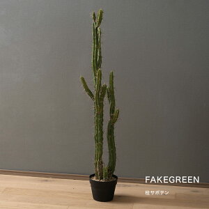 tFCNO[ A ϗtA lH Be[W JbR   T{e C-F-1