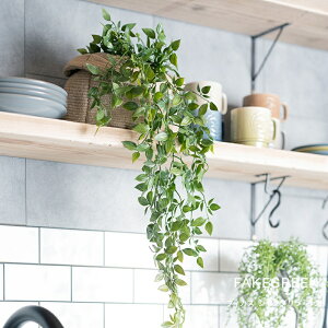 [Si10OFF×5N[|+P10{ 520`4H]tFCNO[ A AtFCNO[ ϗtA lH Ǌ| ~j nMO ݂艺   tBJX VO |b