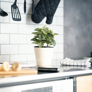 [Si10OFF×5N[|+P10{ 520`4H]tFCNO[ A AtFCNO[ ϗtA lH Ǌ| ~j nMO ݂艺   tBbgjA |bg C-F-1