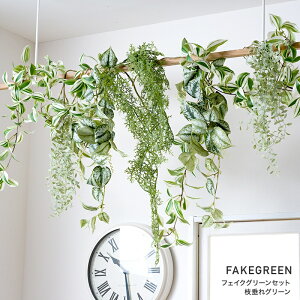 tFCNO[ ZbgAtFCNO[ ϗtA lH Ǌ| ~j nMO ݂艺   O[EH[Euphoriai[tHAjƂ̑gݍ킹ɂ tF