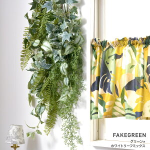 tFCNO[ ZbgAtFCNO[ ϗtA lH Ǌ| ~j nMO ݂艺   O[EH[Euphoriai[tHAjƂ̑gݍ킹ɂ tF