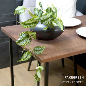 [Si10OFF×5N[|+P10{ 520`4H]tFCNO[AtFCNO[ ϗtA lH Ǌ| ~j nMO ݂艺   oC 傫߃TCỸtFCNO