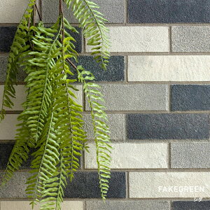 [Si11OFF×11/1N[|]tFCNO[AtFCNO[ ϗtA lH Ǌ| ~j nMO ݂艺   傫߃TCỸtFCNO[ V_ C-F-1