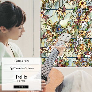 [SiP10{×3020`2H]KXtB  ډB tB ͂ EBhEtB k XehOX KXV[g KX tB p g V[g V[  uvJ