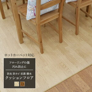 NbVtA}bg NbVtAO _CjOO Ԃ tA}bg t[O}bg NbVV[g ؖ E24123/E24126/195×250cm/h hJr R h @ 