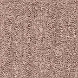 [�S�i�Ώ�10��OFF×15������N�[�|��]�^�C���J�[�y�b�g �z���J�[�y�b�g �T���Q�c �X�^�C���L�b�g �k�� �J�[�y�b�g ���イ���� �y�b�g �h�� �ėp �~�p ������� �h�� ���d ���gOK 40cm×40cm �X�^�C