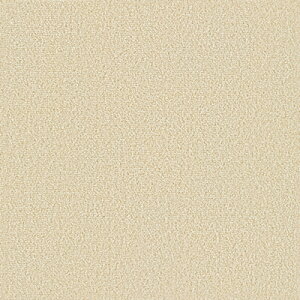 ^CJ[ybg zJ[ybg TQc X^CLbg k J[ybg イ ybg h ėp ~p  h d gOK 40cm×40cm X^CLbgvX Jbg { JQ