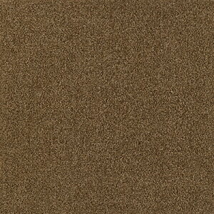 ^CJ[ybg zJ[ybg TQc X^CLbg k J[ybg イ ybg h ėp ~p  h d gOK 40cm×40cm X^CLbgvX Jbg { JQ