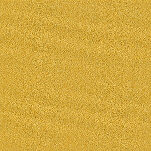 [�S�i�Ώ�10��OFF×15������N�[�|��]�^�C���J�[�y�b�g �z���J�[�y�b�g �T���Q�c �X�^�C���L�b�g �k�� �J�[�y�b�g ���イ���� �y�b�g �h�� �ėp �~�p ������� �h�� ���d ���gOK 40cm×40cm �X�^�C