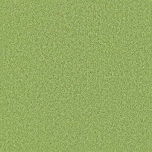 [SiΏ10OFF×15N[|]^CJ[ybg zJ[ybg TQc X^CLbg k J[ybg イ ybg h ėp ~p  h d gOK 40cm×40cm X^C