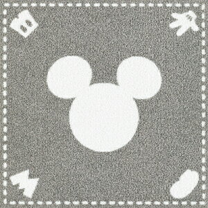 [Si10OFFN[|+P10{1020`6H]^CJ[ybg zJ[ybg TQc X^CLbg k J[ybg イ ybg h ėp ~p  h d gOK 40cm×40cm X^